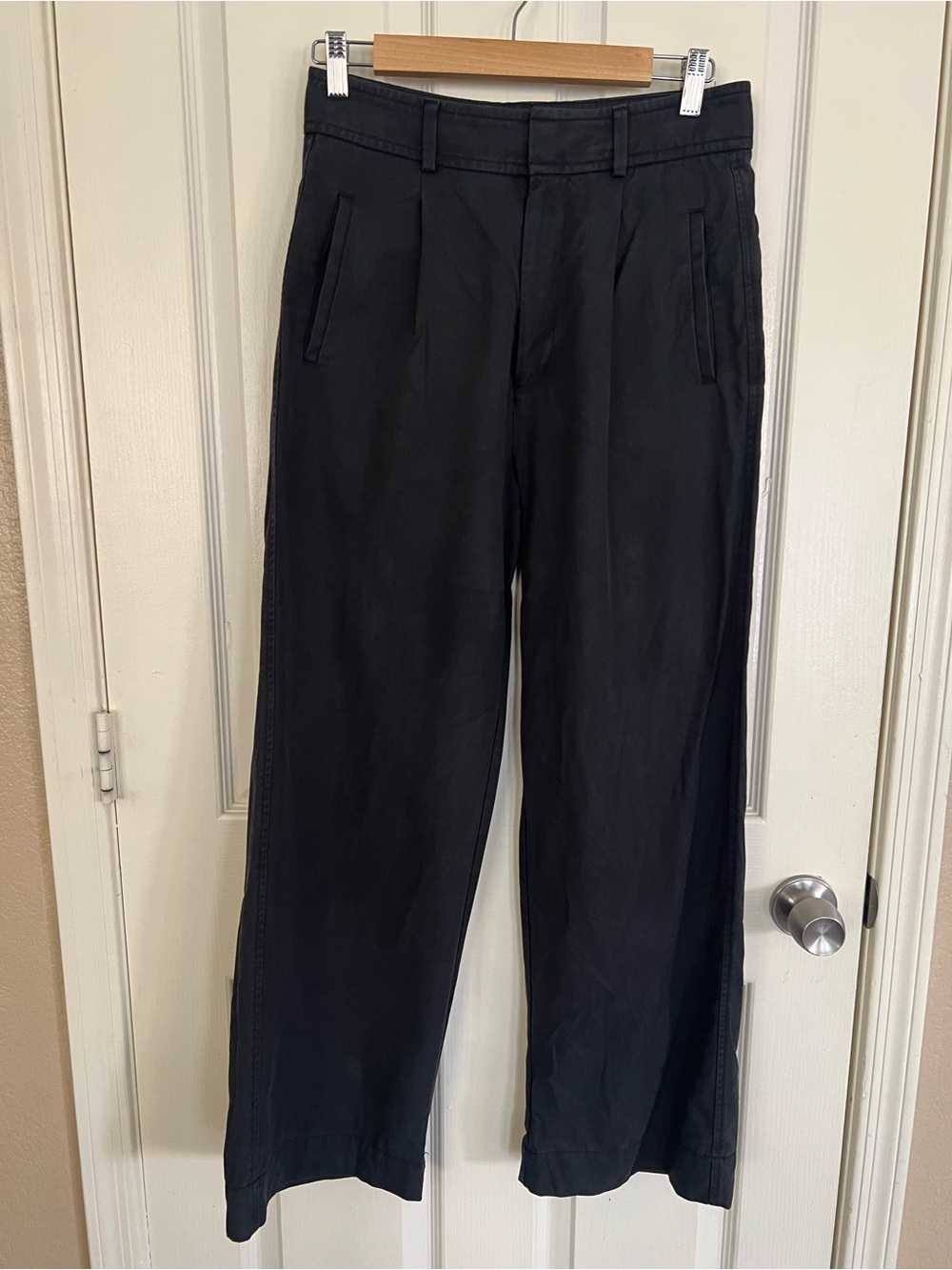 Everlane The Trouser Buttersoft Tencel Pleated Wide Leg Pants Black 4S